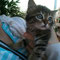 32-2011 Bimba (Linda/Coda)