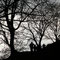 controluce