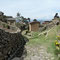 Sampaya