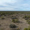 Ruta 1
