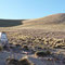 Col de Lipan