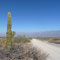 Parque de los Cardones