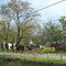 San Antonio de Areco