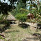 Campement El Chinto