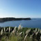 Peninsula de Lacuy