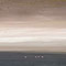 Points de suspension en rose flamands