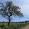 Parque El Rey