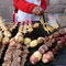 Brochettes alpaca-pomme de terre