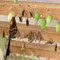 Nurserie