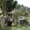 Sampaya