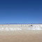 Les patineurs du salar