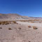 Tolar Grande