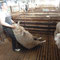 Choix du mouton