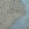 Paracas