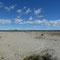 Ruta 1