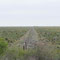 Pampa du Chaco