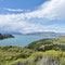 Lago del Toro