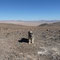 Paranal