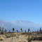 Parque de los Cardones