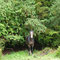 Cheval s'abritant sous un fuchsia arbre