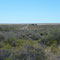 Ruta 1