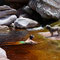 Ribeiro do Meio