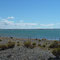 Bahia Bustamente