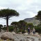 Cascadas del Agrio à Caviahue