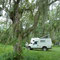 Bivouac à Paratymirim