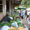 Au marché de Cacao