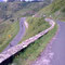 Descente du col de la Scie (1208m) après St Clément