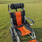 Serienpolsterfarbe orange, Gurt schwarz