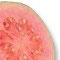 Guava - medicinal plants