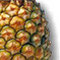 Pineapple - medicinal plants