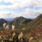 右から孫三瓶山・子三瓶山・男三瓶山