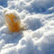 Foto: Andreas Ender, photo-art+painting 