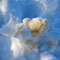 Foto: Andreas Ender, photo-art+painting 
