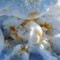 Foto: Andreas Ender, photo-art+painting 