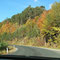 herbstliche Anreise ...