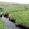 Der weiche Boden und die eingeschnittenen Wege, ...
