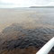 am Zusammentreffen der Wasser von Amazonas und Rio Negro
