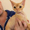 Ginger des Lutins du Devon