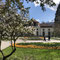 Königlicher Kurgarten Bad Reichenhall - ein Blumenmeer