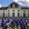 Königlicher Kurgarten Bad Reichenhall - ein Blumenmeer