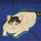 「家の猫」６号 日本画　田村博隆