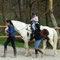 Lezione in campo - Appennino Horse Trekking