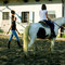 Lezione in campo - Appennino Horse Trekking