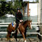 Lezione in campo - Appennino Horse Trekking