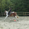 Lezione in campo - Appennino Horse Trekking