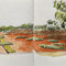 Cranbourne Gardens. Cranbourne, Victoria.